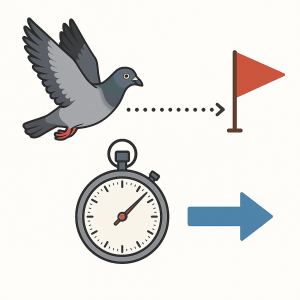 Classement des pigeons voyageurs calcul vitesse propre et nouvelles technologies