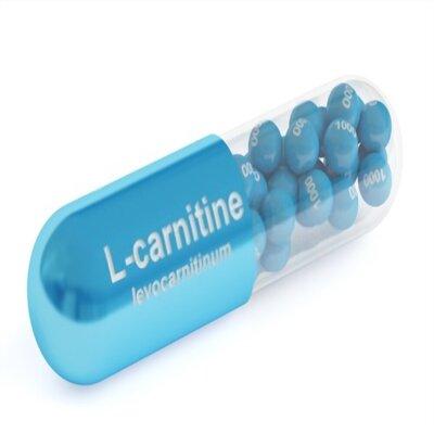 Vitamines La Carnitine N 2 Pigeon Voyageur | Révélations Et Secrets Vitamines La Carnitine N 2 Pigeon Voyageur