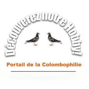 cropped 512x512 baner wpappninja