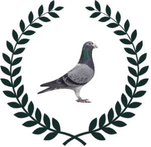 cropped FotoJet 1 removebg preview