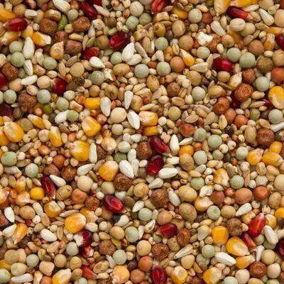 Graines Et R Gimes 3 | Alimentation - Pigeon Voyageur | Elevage De Pigeons Voyageurs Graines Et R Gimes 3 | Alimentation - Pigeon Voyageur | Elevage De Pigeons Voyageurs