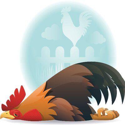 Grippe Aviaire Pigeon Voyageur | Le Coin De La Science Grippe Aviaire – pigeon voyageur