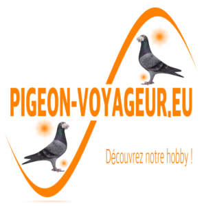 cover 400 X 400 transparant