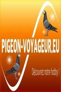 site cover 600 X 900