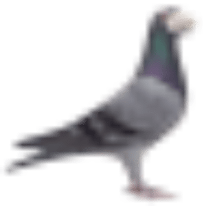 cropped favicon 32x32 NEW