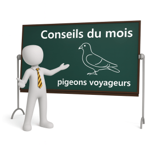 Conseils du mois