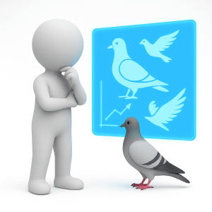 Le fond de la question