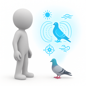 Sens de lorientation